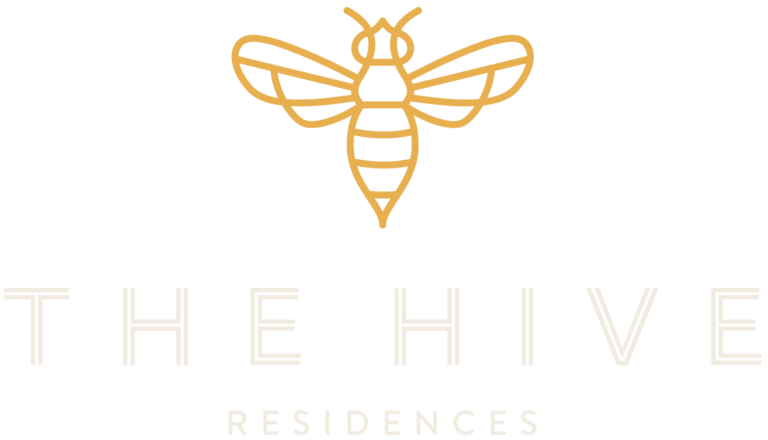 The Hive | Apartments Allentown PA | Now Leasing in Downtown Allentown